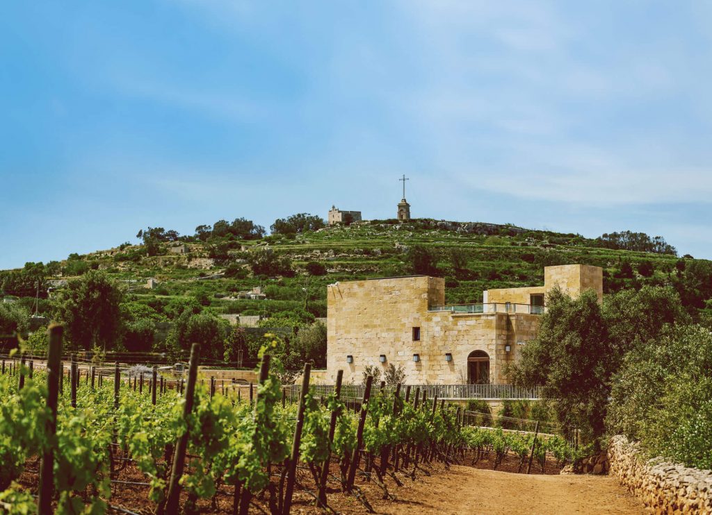 wine tasting tour malta